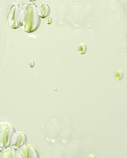 Beauty of Joseon Calming Καταπραϋντικό & Ενυδατικό Serum Προσώπου με Green Tea & Panthenol για Αποτοξίνωση 30ml