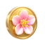 Coins