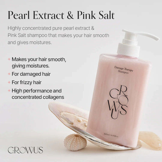 Growus Σαμπουάν Αναδόμησης/Θρέψης & Λείανσης για Φριζαρισμένα Μαλλιά 500ml